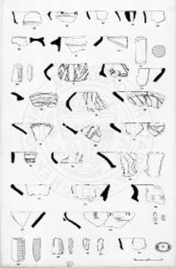 Κεραμική και μερικά μικροαντικείμενα από τις νεολιθικές θέσεις της κεντρικής Μακεδονίας.