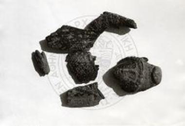 Βασιλική Αρχιερέως Πέτρου. Οστέινα τεμάχια πολεμιστού φέροτοςδόρυ ή μάχαιραν, εκ του τομέως ΤΜ - ΣΤ.