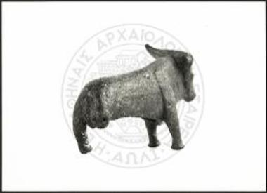 Stier (X 3199).