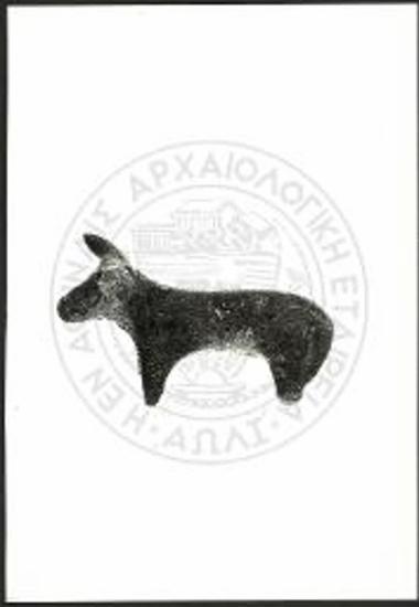 Stier (X 3797).