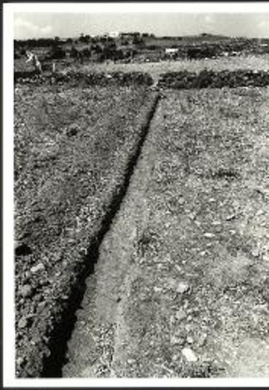 Ανασκαφική τομή