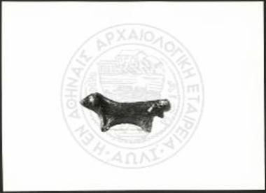 Stier (X 4956).