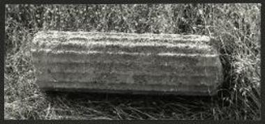 Ραβδωτός κίων.