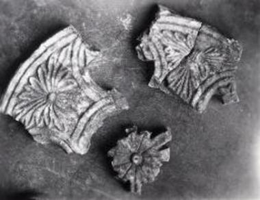 Τεμάχια διατρήτων θωρακίων.