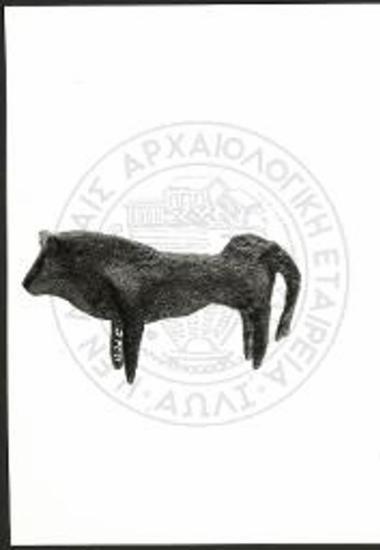 Stier (X 3760).
