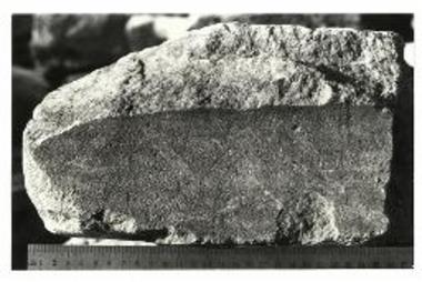 Λέσβιο κυμάτιο του αρχαϊκού ναού.