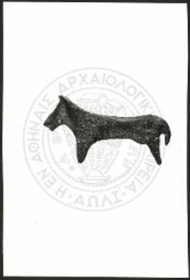 Stier (X 4205).