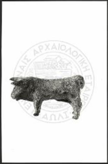 Stier (X 3861).