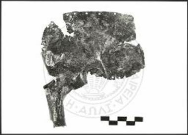 Fragment eines Stier - Sphyreraton.