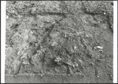 Βόρεια επέκταση της τομής 1967, μερική άποψη των κτιρίων 2 και 3.