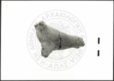 Partially preserved bovid with body of irregular cross-section.