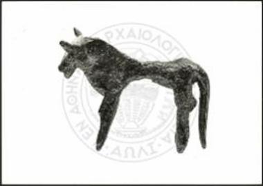 Stier (X 3643).