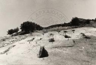 Άποψις του μυκηναϊκού νεκροταφείου.