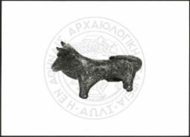 Stier (X 3334).