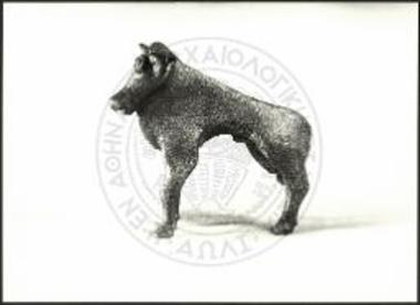Stier (X 4122).