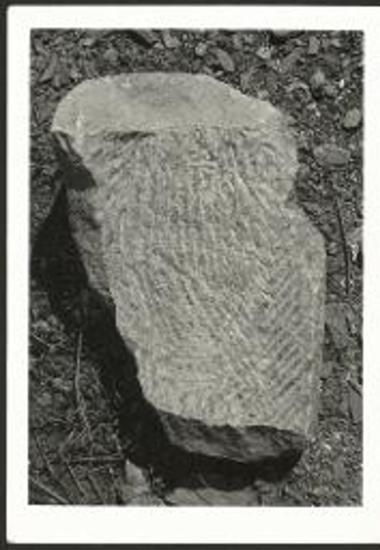 Θραύσμα (λαρνακιδίου λειψάνων  ).