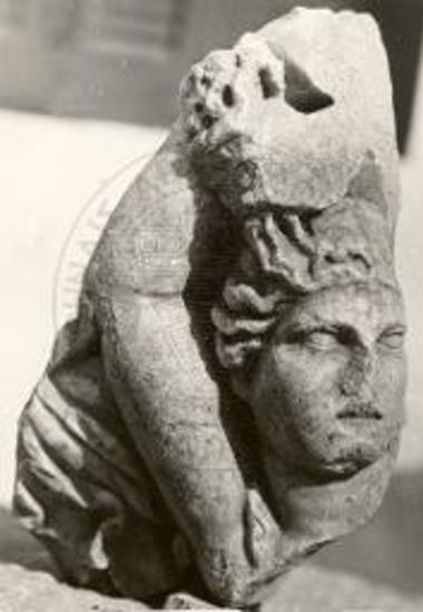 Part of a sarcophagus representing an Amazonomachy