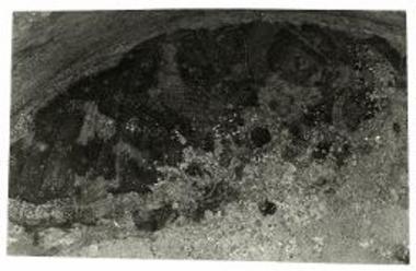 Τοιχογραφία