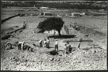 Γενική άποψις του χώρου της ανασκαφής.