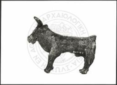 Stier (X 3204).