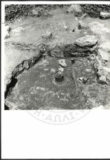 Τα λατρευτικά σκεύη ως ευρέθησαν εντός του δωματίου της θήκης του ΜΜ IIIΒ ιερού (από Ν.).