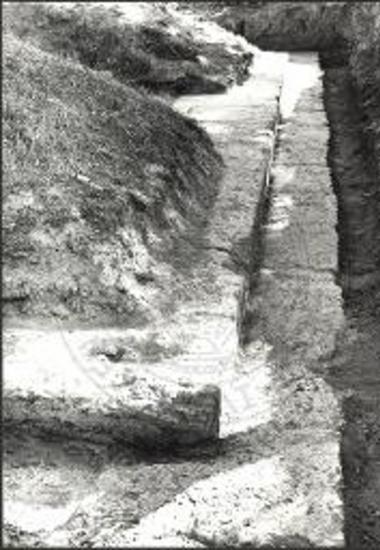 Krepis und Stylobat des Tempels der Artemis Tauropolos.