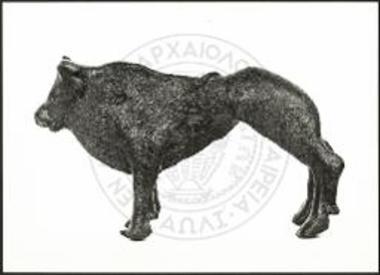 Stier (X 4219).