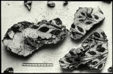 Τοιχογραφία. Μυρτοειδή.