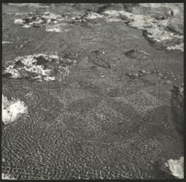 Το ανατολικό θέμα των ψηφιδωτών.