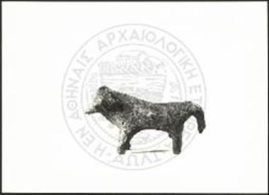 Stier (X 3912).