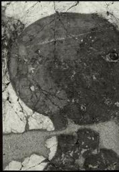 Τοιχογραφία από την Ξεστή 3.