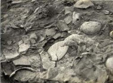 Deposit pit containing offerings for the dead.