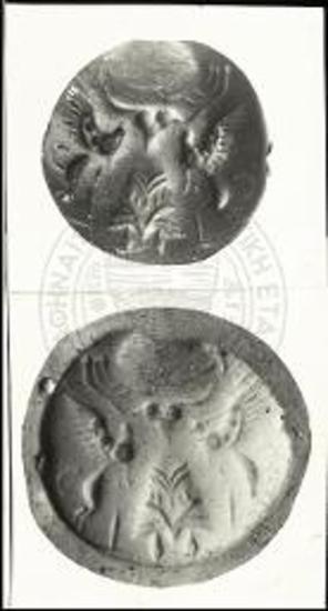 Σφραγιδόλιθος