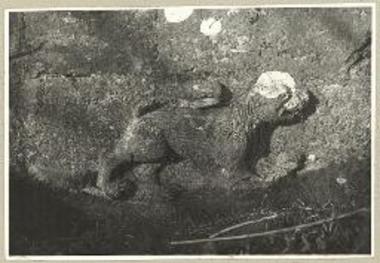 Ανάγλυπτος λέων εκ της εκκλησίας του αγίου Νικολάου εν Δελβίνω.