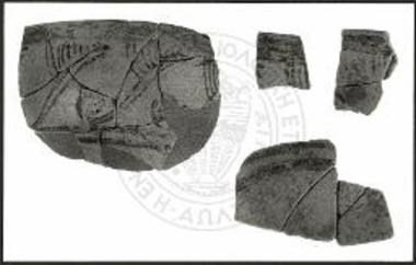 ΥΜ IIIΒ όστρακα.