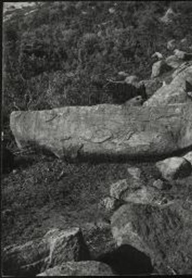 Ανασκαφή Ακρόπολης Αγίου Γεωργίου Μαρωνείας