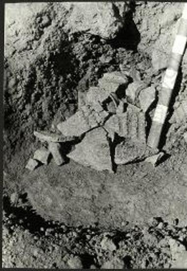 Οικία Μ. Μέρος σωρού κεραμεικής εις το δωμάτιον Μ1α (δείκτης ανά 5 εκ.).