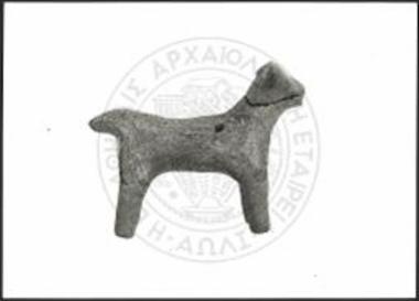 Bovid with narrow body.