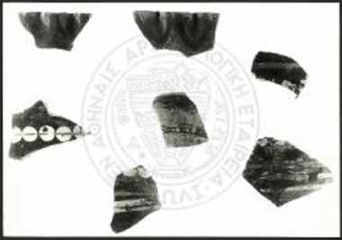 Καμαραϊκά όστρακα.