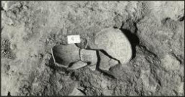 Οικόπεδο Μαθιουδάκη. Τάφρος 7. ΥΜ IIIΒ σκυφοειδές, in situ.