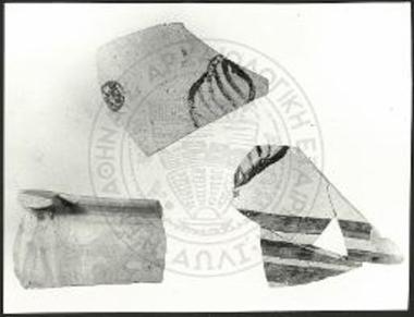 Όστρακα του θαλασσίου ρυθμού.