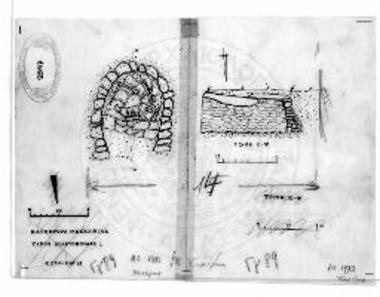 Καρποφόρα Μεσσηνίας. Θέσις Τουρκοκίβουρα. Κάτοψις και τομή του τάφου Νικητοπούλου 1.