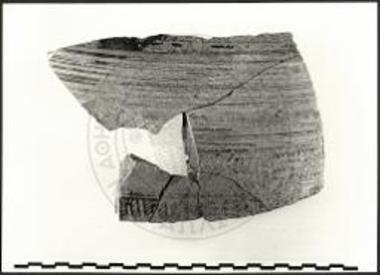 Δείγμα οστράκου από γραπτό αγγείο Γεωμετρικών χρόνων από το ΝΑ άκρο του ταφικού περιβόλου.