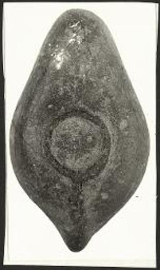 Η κάτω πλευρά παλαιοχριστιανικού λύχνου.