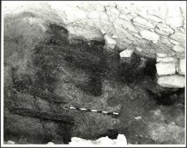 Η τάφρος 69. Το δάπεδο της καμένης οικίας της πρώιμης εποχής του Χαλκού με τα απανθρακωμένα δοκάρια της σκεπής.