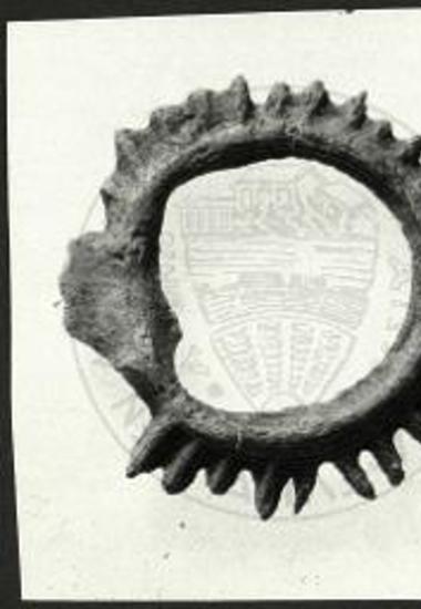 Μολύβδινος στέφανος.