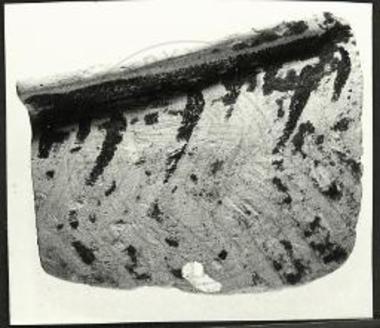 Δωδώνη. Μυκηναϊκό όστρακο της ΥΕ ΙΙΙ περιόδου.