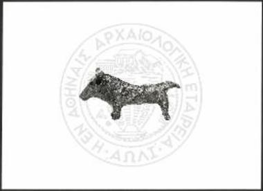 Stier (X 4457).