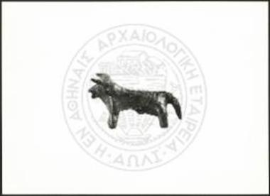 Stier (X 3747).