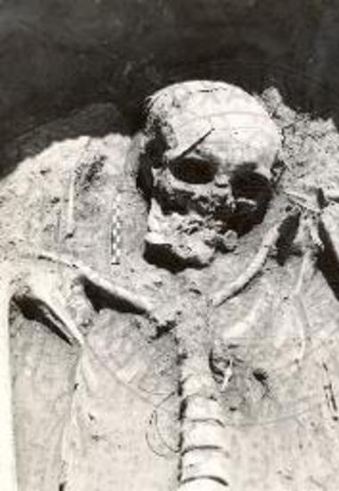 The upper part of a skeleton